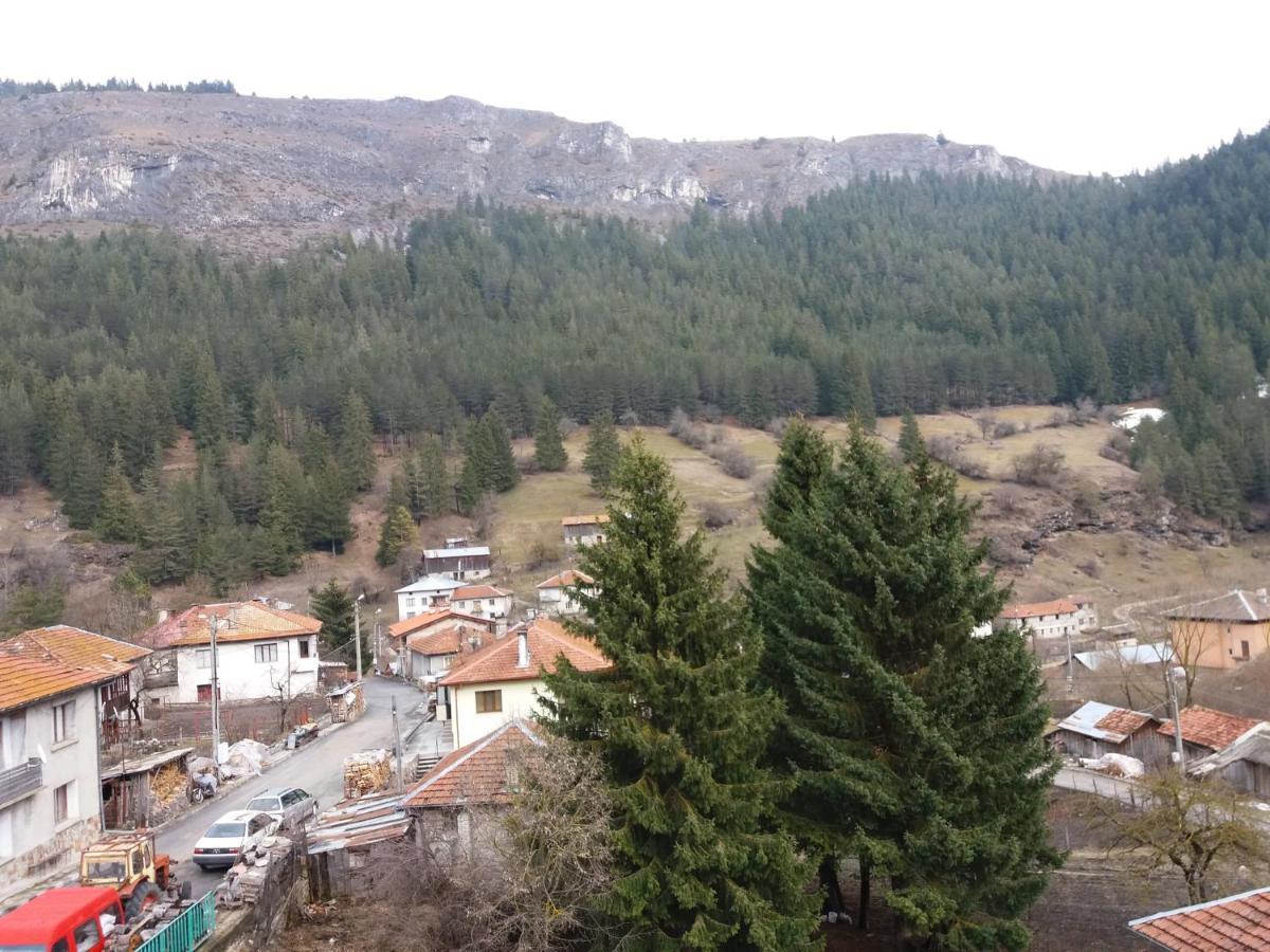 Къща За Гости Камината Trigrad Luaran gambar